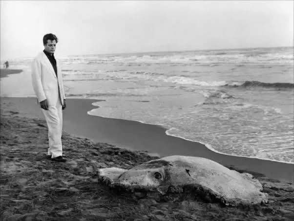 Still from the closing scenes of Fellini's LA DOLCE VITA, in which Marcello gazes contemplatively at the carcass of a beached manta ray, caught in the nets of fishermen.