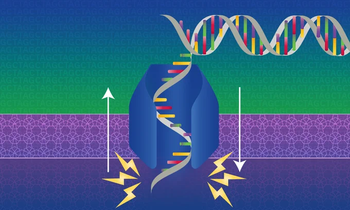 Pore inside a membrane with DNA moving in and out
