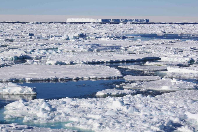 Dense sea ice and distant ice shelf on calm sunny day in Weddell Sea, Antarctica
