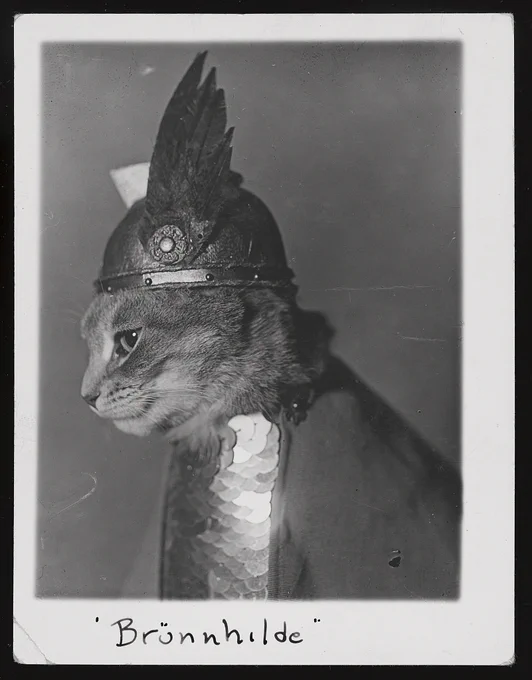 Black and white photograph shows side view of a cat wearing a winged helmet and breastplate armor in the role of the valkyrie Brünnhilde from the opera Der Ring des Niebelungen. 1936.