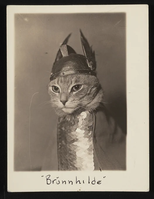 Black and white photograph shows front view of a cat wearing a winged helmet and breastplate armor in the role of the valkyrie Brünnhilde from the opera Der Ring des Niebelungen. 1936.