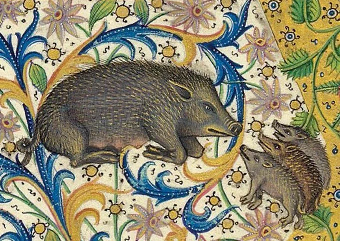 A medieval drawing of a female boar kneeling with her nose held close to three little baby boar who are looking at her happily