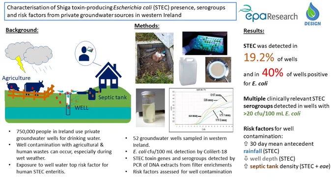 Highlights of study:
52 groundwater wells were sampled in western ireland
Shiga toxigenic E. coli (STEC) was detecgted in 19.2% of wells and in 40% of wells where E. coli was present.
Multiple clinically relevant STEC serogroups were detected in wells with 20 cfu/100 mL E. coli or more
Risk factors for well contamination with STEC were increased 30 day mean antecedent rainfall, decreasing well depth and increasing septic tank density