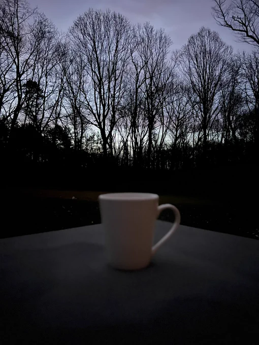 In the foreground is an out of focus tea mug. On the background are some trees with no leaves and the blue/gray morning sky peeking out.