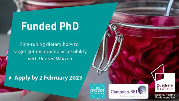 A photo of pickled cabbage in a jar. On the left a dark green quadrangle with the text "Funded PhD, Fine-tuning dietary fibre to target gut microbiota accessibility with Dr Fred Warren, Apply by 2 February 2023. On the right the Quadram Institute logo, the Food Consortium logo, and Campden BRI logo.
