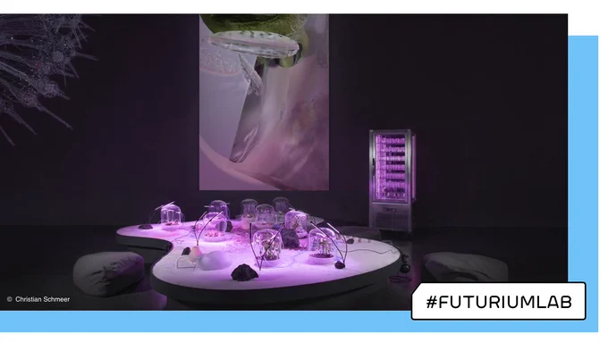 Foto des Ausstellungsstücks im Futurium. Zu sehen ist ein Tisch mit vielen kleinen pink beleuchteten Terrarien.