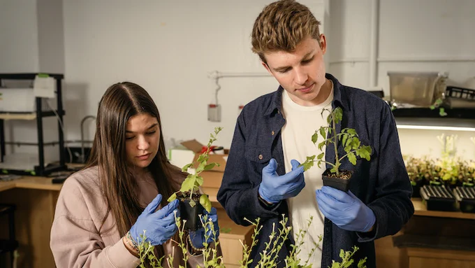 two students in a lab inspecting plants.