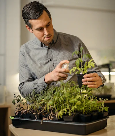 person spraying a plant.