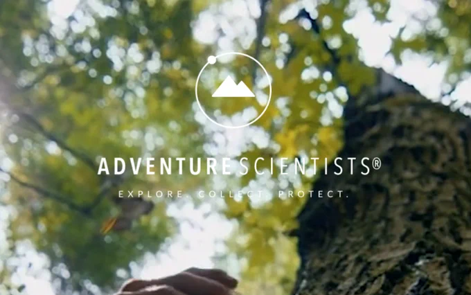 Tree - Job position for a Forest Specialist at Adventure Scientist