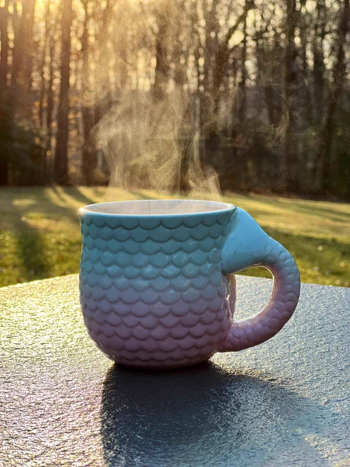 A mermaid style mug sitting on a ledge soaked in the morning rain. The sun shines it’s morning light through the forest trees in the background. 

It’s going to be a wonderful day 😌☕️