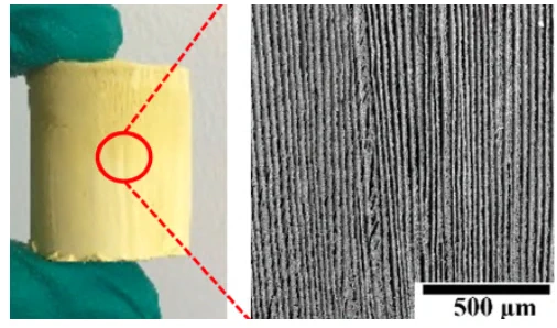 Porous piezoelectric material