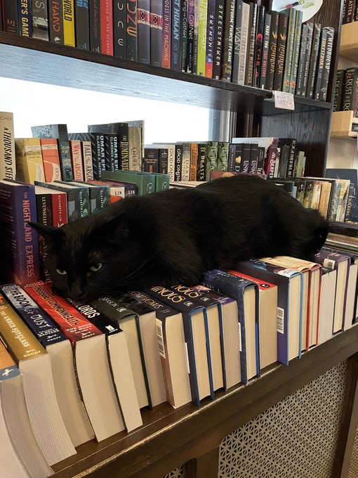 Eartha Kitt, a black cat with yellow eyes, sprawls across a line of books. His eyes are half-closed and he looks grumpy.