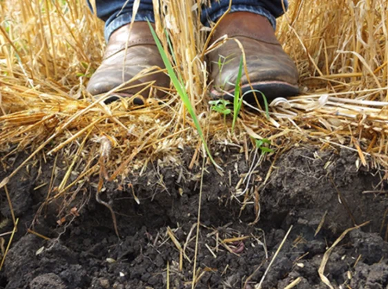 boots standing next to soil