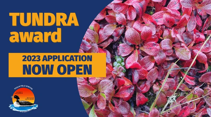 Graphic with the words "TUNDRA award, 2023 Application Now Open" with image of red bearberry and the Toolik Field Station logo.