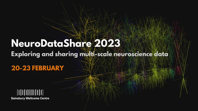 Modelled neurons of different colours against a dark background, text overlaid "NeuroDataShare 2023: Exploring and sharing multi-scale neuroscience data, 20-23 February", with SWC logo