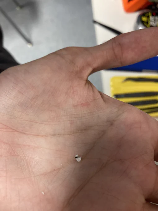 A tiny speck of white filament in the palm of a hand.