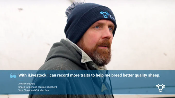 Andrew Powers uses iLivestock software and hardware to run his farm of New Zealand Romneys and contract flock of Highlander ewes. 