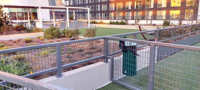 Rooftop Deck  with Pet Park and Raised Beds Built with HDG Grating Panels, Buzon Pedestals, and Synthetic Turf