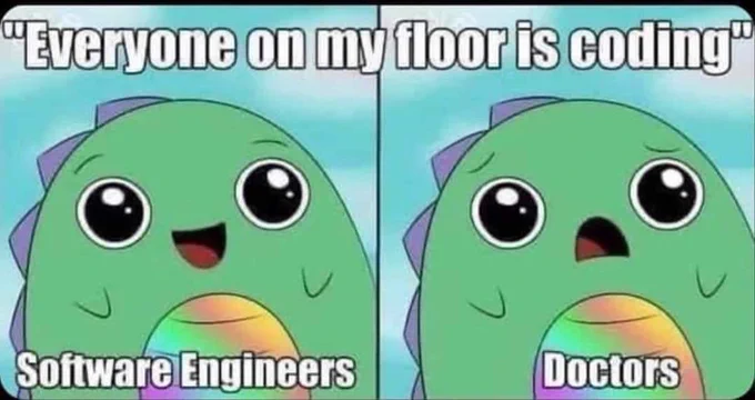 "Everyone on my floor is coding"

Left: Cute dragon, happy. Caption "Software Engineers"

Right: Cute dragon, worried. Caption "Doctors"