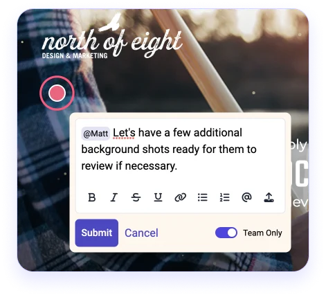 Pink marker on Punchlist site with feedback text box open. Text says "Matt, let's have a few additional background shots ready for them to review if necessary." The toggle in bottom left is switched to "team only" and frame around text box is light yellow instead of white. This indicates that once submitted, only team members will be able to see the comment. 