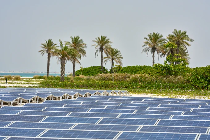 Palm trees by solar energy panels in Abu Dhabi. 