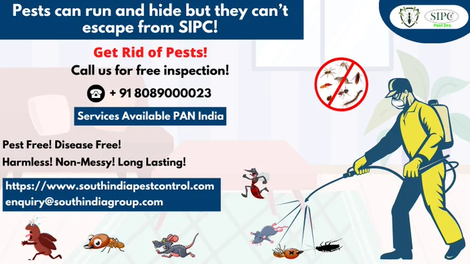 Pest control, pest control services, pest treatment, pest solutions, best pest control, pest extermination, pest control treatment, fumigation services, pest removal, mosquito control services, mosquito control treatment, mosquito removal services
