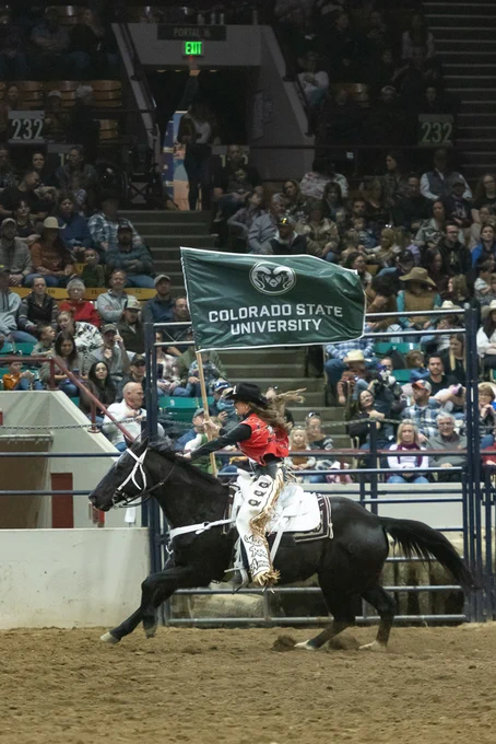 A woman riding a horse in the arena at the National Western Stock Show while carrying a large C S U flag.
