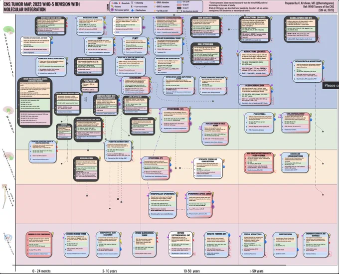 2D summary of primary CNS brain tumors (glioms, GNT, embryonal tumors) based on WHO-5 CNS update, 2023.