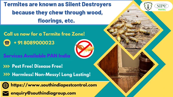 Termites are known as Silent Destroyers because they chew through wood, floorings, etc. Call us now for a Termite Free Zone!
Visit: https://bit.ly/termitecontrolgoa
Call: 8089000023
Email: enquiry@southindiagroup.com
#termites #termitecontrol #termitefumigation #termiteprevention #termitespecialist #termitecontrolservice #pest #pestcontrol  #commercialpestcontrol #termitecontrolindia #posttermitecontrol #posttermitetreatment #postconstructiontreatment #termitetreatment #termitetreatmentservices #pestmanagement  #antitermitecontrol #pretermitecontrol #pretermitetreatment #pestcontrolkochi #pestcontrolcochin