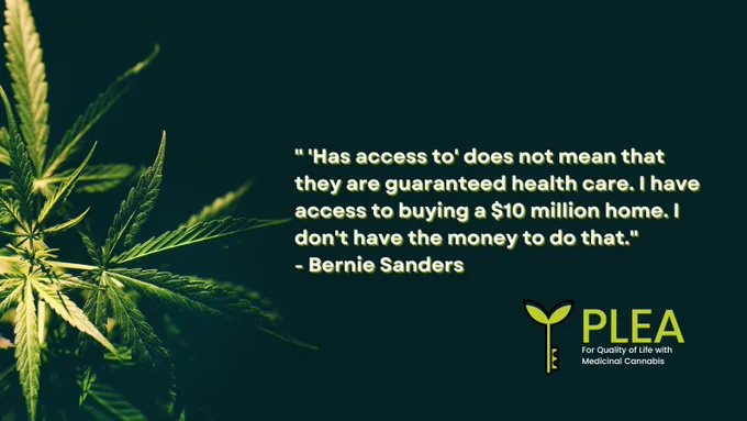 A quote from Bernie Sanders saying:  "'Has access to' does not mean that they are guaranteed health care. I have access to buying a $10 million home. I don't have the money to do that." sitting on a dark background with a cannabis plant on the far left side.