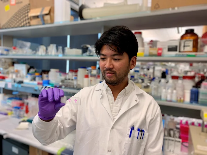 Daniel Luo, a trainee in the Kizhakkedathu lab in the LSI ,holds a sample of cultured kidney tissue grown from stem cells for a story about a polymer that can reduce organ rejection following transplantation. Read a profile of Daniel here: https://cbr.ubc.ca/when-extraordinary-meets-ordinary-profiling-daniel-luo/