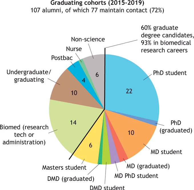 Graph showing the careers of DFB alumni (2015-2019) with 60% in graduate programmes and 93% engaged in biomedical research career
