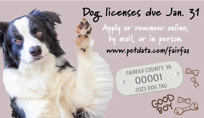 Graphic: Dog licenses due Jan. 31. Apply or renew online, by mail, or in person. 