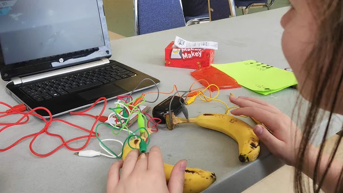 Two bananas on a desk with wires plugged into them. The wires are connected to a laptop. A young girl is playing a video game on the laptop using the bananas as a controller.
