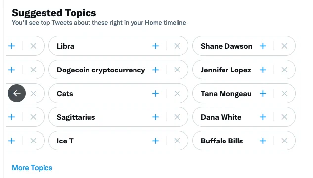 A list of topics Twitter thinks I'm interested in including Sagittarius, LIbra, Shane Dawson and Tana Mongeau