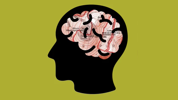 A black profile of a head, with the brain area filled with a topographic map consisting mostly of brown contour lines around a mountain. The background is a green-yellow color. (Photo Credit: Head, the Noun Project; map, U.S. Geological Survey, image composed by the Army Geospatial Center)