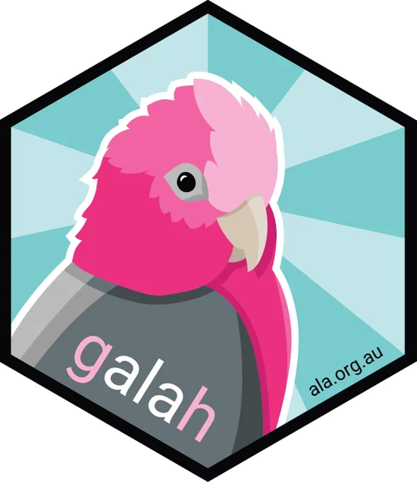 Galah logo of a pink and grey bird on a blue background