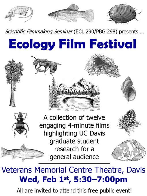 A poster showing black line drawings of animals and trees with blue and black text that reads Scientific Filmmaking Seminar (ECL 290/PBG 298) presents Ecology Film Festival - A collection of 12 engaging 4 minute films highlighting UC Davis graduate student research for a general audience. Davis Veterans Memorial Center Theatre 203 E 14th St., Davis CA Wednesday February 1, 2023 from 5:30 – 7:00pm (doors open at 5:00pm). All are invited to this free public event!