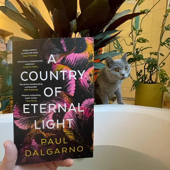 Paul’s cat poses at the edge of the bath with Paul’s novel A Country of Eternal Light