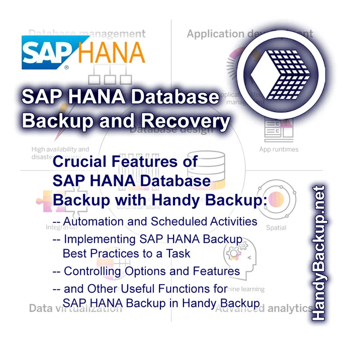 SAP HANA Database Backup and Recovery -> Handybackup.net
Free Download!!!!