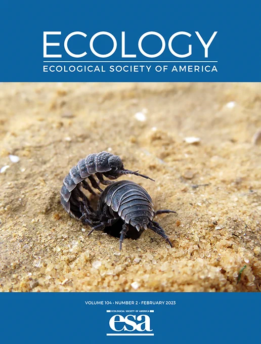 Ecology Volume 104, Issue 2 (February 2023) journal cover featuring male desert isopods fighting for access to a female residing inside a burrow in Yeruham, Israel.