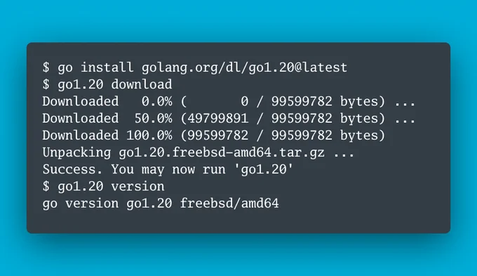 $ go install golang.org/dl/go1.20@latest
$ go1.20 download
Downloaded   0.0% (       0 / 99599782 bytes) ...
Downloaded  50.0% (49799891 / 99599782 bytes) ...
Downloaded 100.0% (99599782 / 99599782 bytes)
Unpacking go1.20.freebsd-amd64.tar.gz ...
Success. You may now run 'go1.20'
$ go1.20 version
go version go1.20 freebsd/amd64