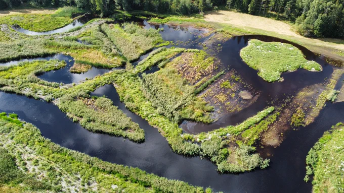 copyright: IIris Kokkonen/WWF