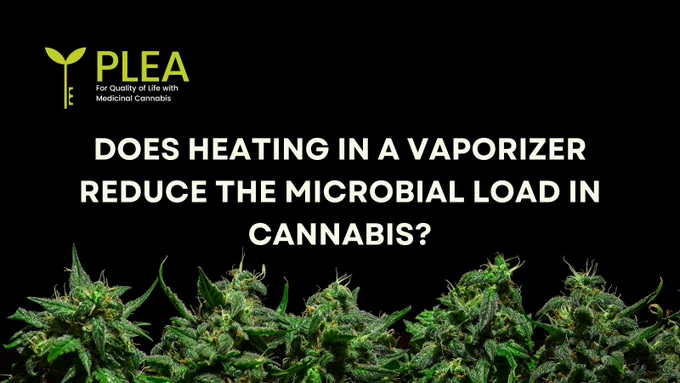 Image of cannabis plants sitting on a black background, filling the bottom of the image. The PLEA logo is located in the top left corner with white text that reads: 'Does Heating in a Vaporizer Reduce the Microbial Load in Cannabis?