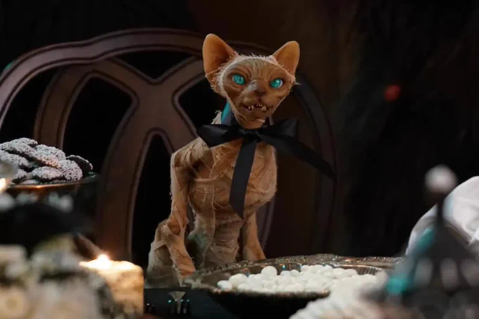 Rankle from The Curious Creations of Christine McConnell. He is a pink mummified sphynx cat with bright blue eyes, and he wears a black ribbon around his neck. He sits at a table with white treats in dishes.
