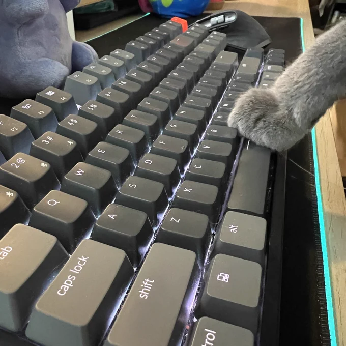 Cat paw pressing the space bar on a keyboard