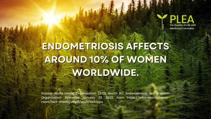 Endometriosis affects 10% of women worldwide, per World Health Organization (2021). The PLEA logo is in the top right corner, superimposed on a sunny field of cannabis.