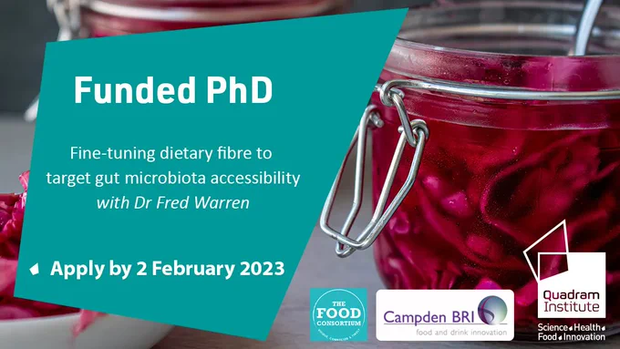 A photo of pickled cabbage in a jar. On the left a dark green quadrangle with the text "Funded PhD, Fine-tuning dietary fibre to target gut microbiota accessibility with Dr Fred Warren, Apply by 2 February 2023. On the right the Quadram Institute logo, the Food Consortium logo, and Campden BRI logo.