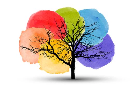 Image of a tree in winter with no leaves but with rainbow dusted coloured circles behind the branches