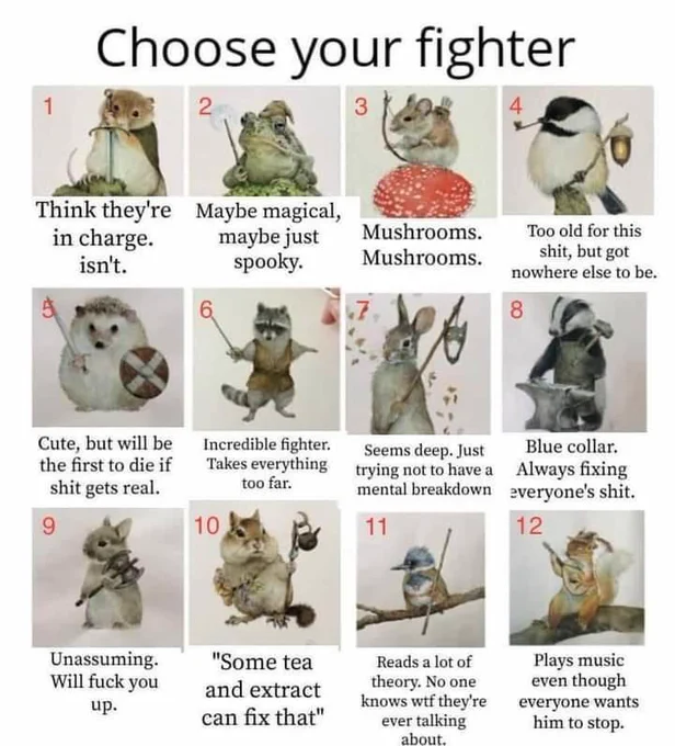 12 images of felted animals dressed like fighters

1. Think they're in charge. Isn't.

2. Maybe magical, maybe just spooky.

3. Mushrooms. Mushrooms.

4. Too old for this shit but got nowhere else to be.

5. Cute but wil be the first to die if shit gets real.

6. Incredible fighter. Takes everything too far.

7. Seems deep. Just trying not to have a mental breakdown.

8. Blue collar. Always fixing everyone's shit.

9. Unassuming. Will fuck you up.

10. "Some tea and extract can fix that"

11. Reads a lot of theory. No one knows wtf they're ever talking about.

12. Plays music even though everyone wants him to stop.